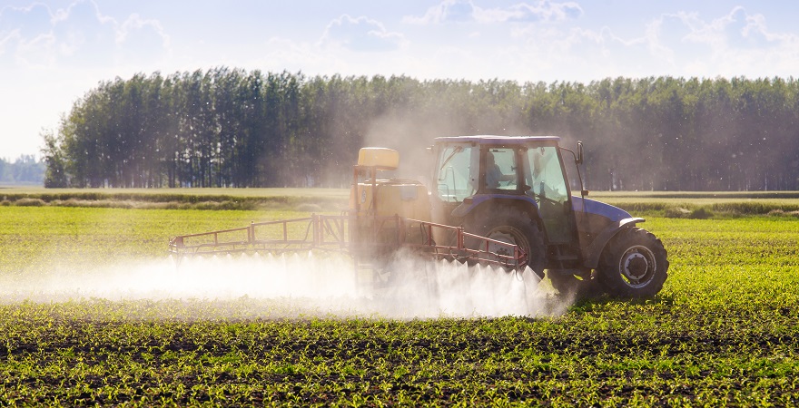 Використання пестицидів на кукурудзі